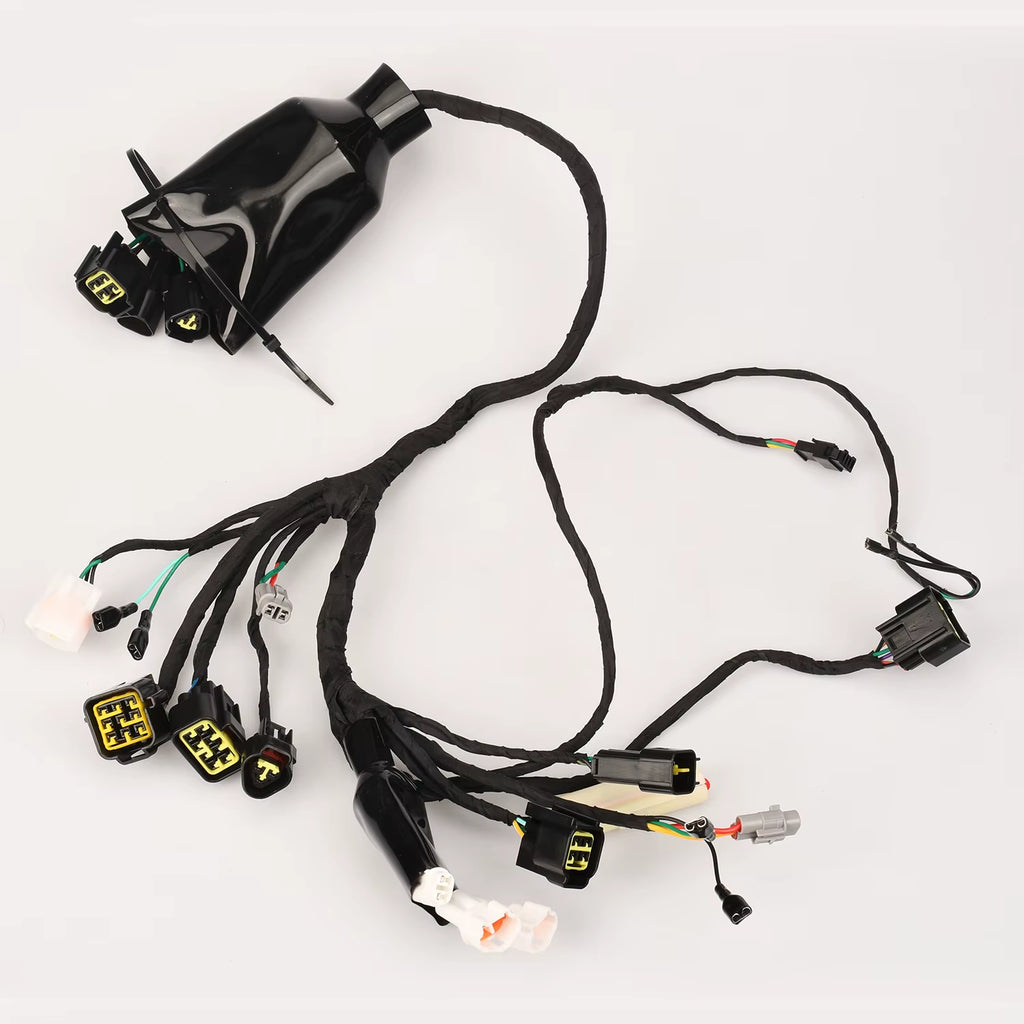 For Surron Light Bee X Sur-Ron LBX for Segway X160 X260 X 160 260 Full Main Wire Wiring Assy Harness Electric Dirt