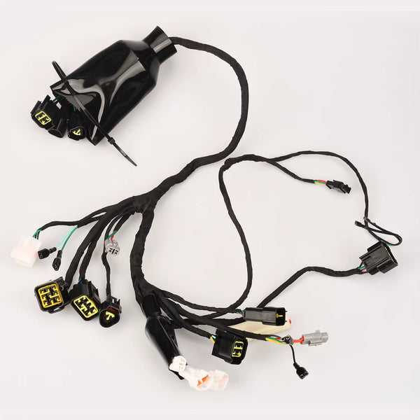 Main Wiring Harness for Suron Light Bee X / Segway X160 / X260